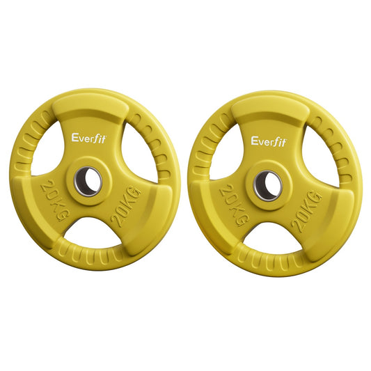 Everfit Weight Plates Olympic 20kgx2 Dumbbell Barbell Plate Weight Lifting Home Gym Yellow